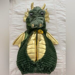 Green and Gold Infant Dragon Costume